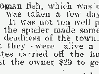 Vancouver Daily World, 2 August 1897, p. 8