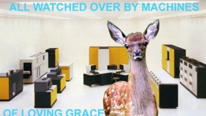 all-watched-over-by-machines-of-loving-grace-01_670_377_c1