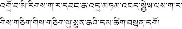 udhr_dzongkha